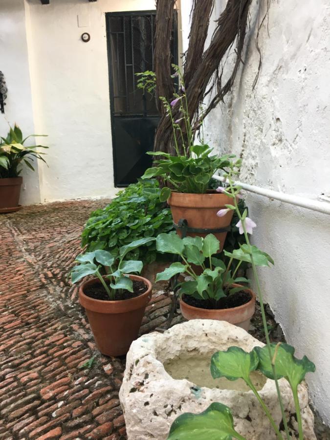 Casa San Roque Bed & Breakfast Chinchon Exterior photo